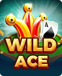 Wild Ace in the IN7 game APK